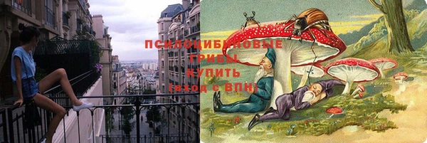 дмт Липки